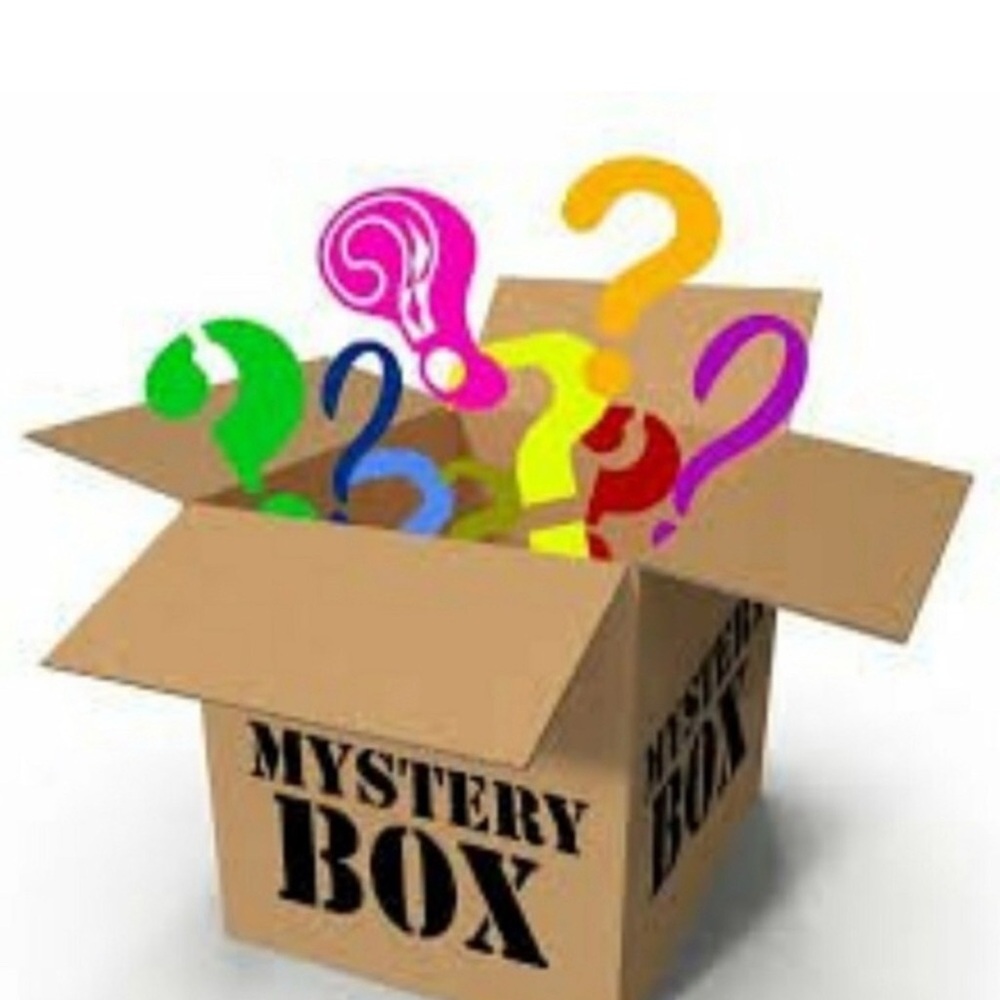 Juicy Couture Assorted Juicy Couture Bags/Throws/Jewelry/Wallet ?? Mystery Box - Picture 3 of 4